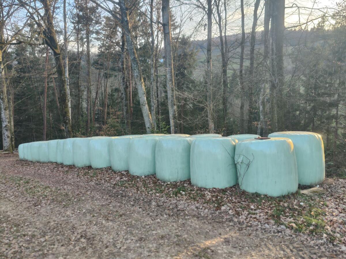 Silageballen 2