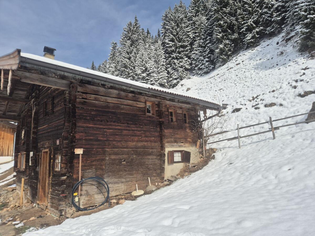 Altholz 3