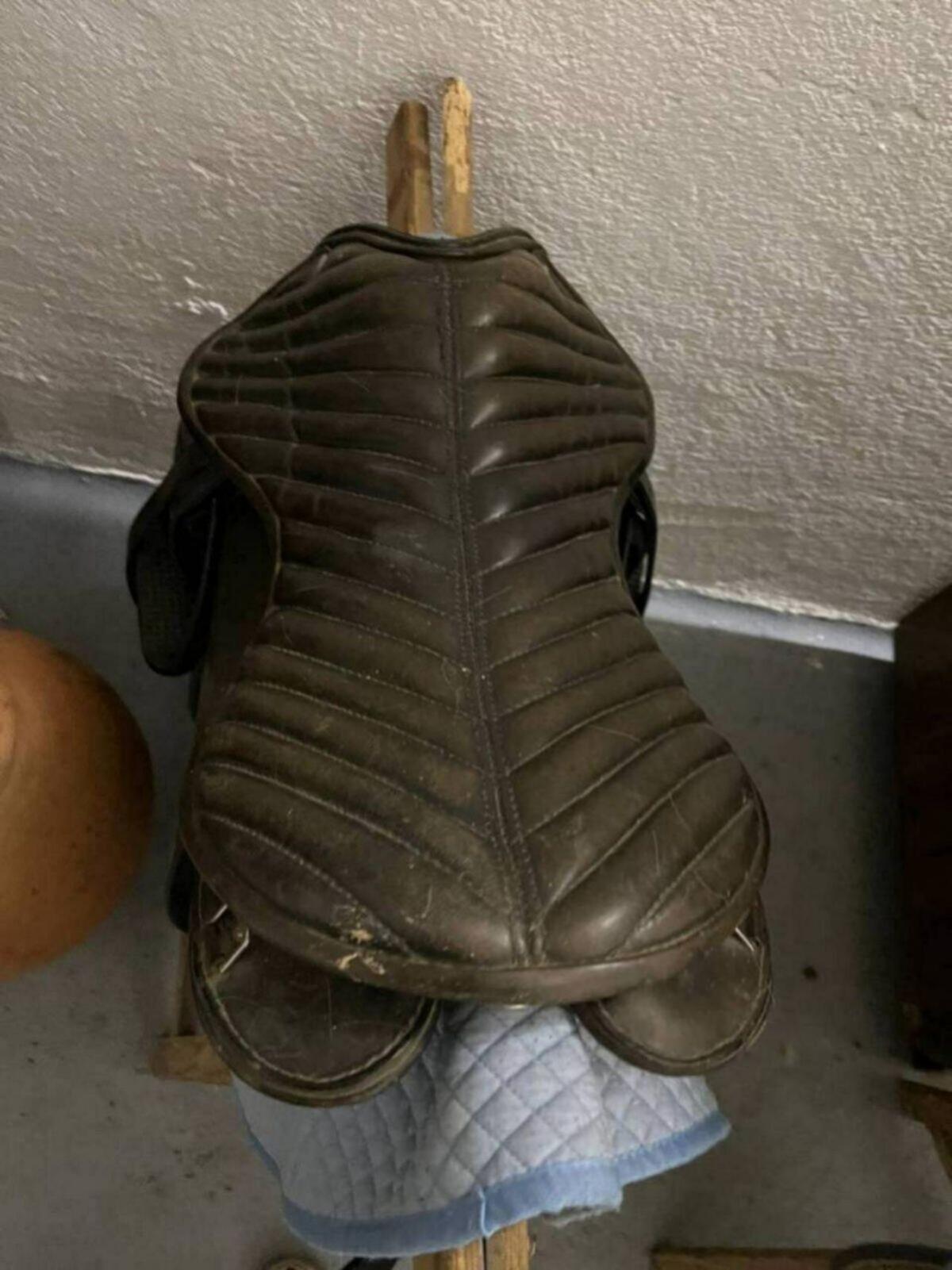 Isländer Sattel Tölz 2
