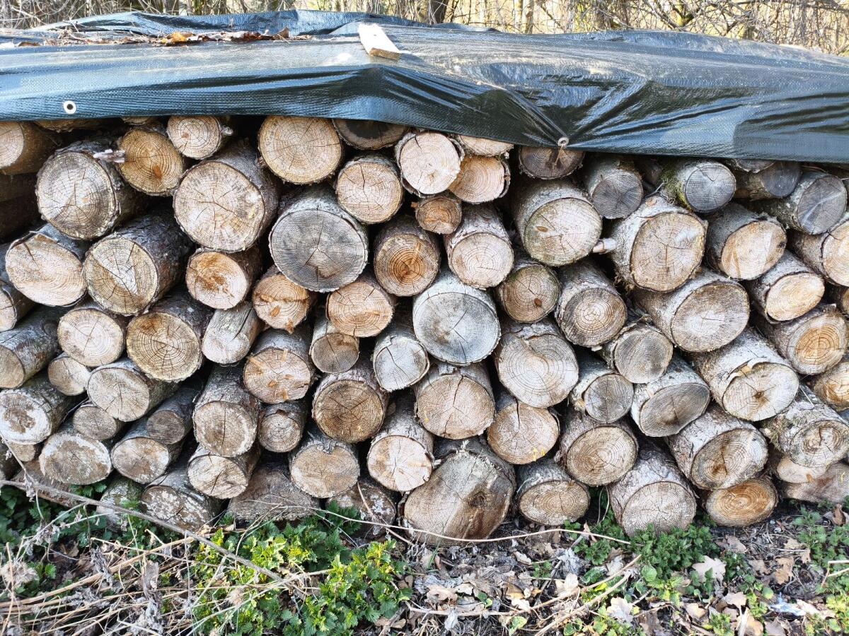 Brennholz Gemischt 3