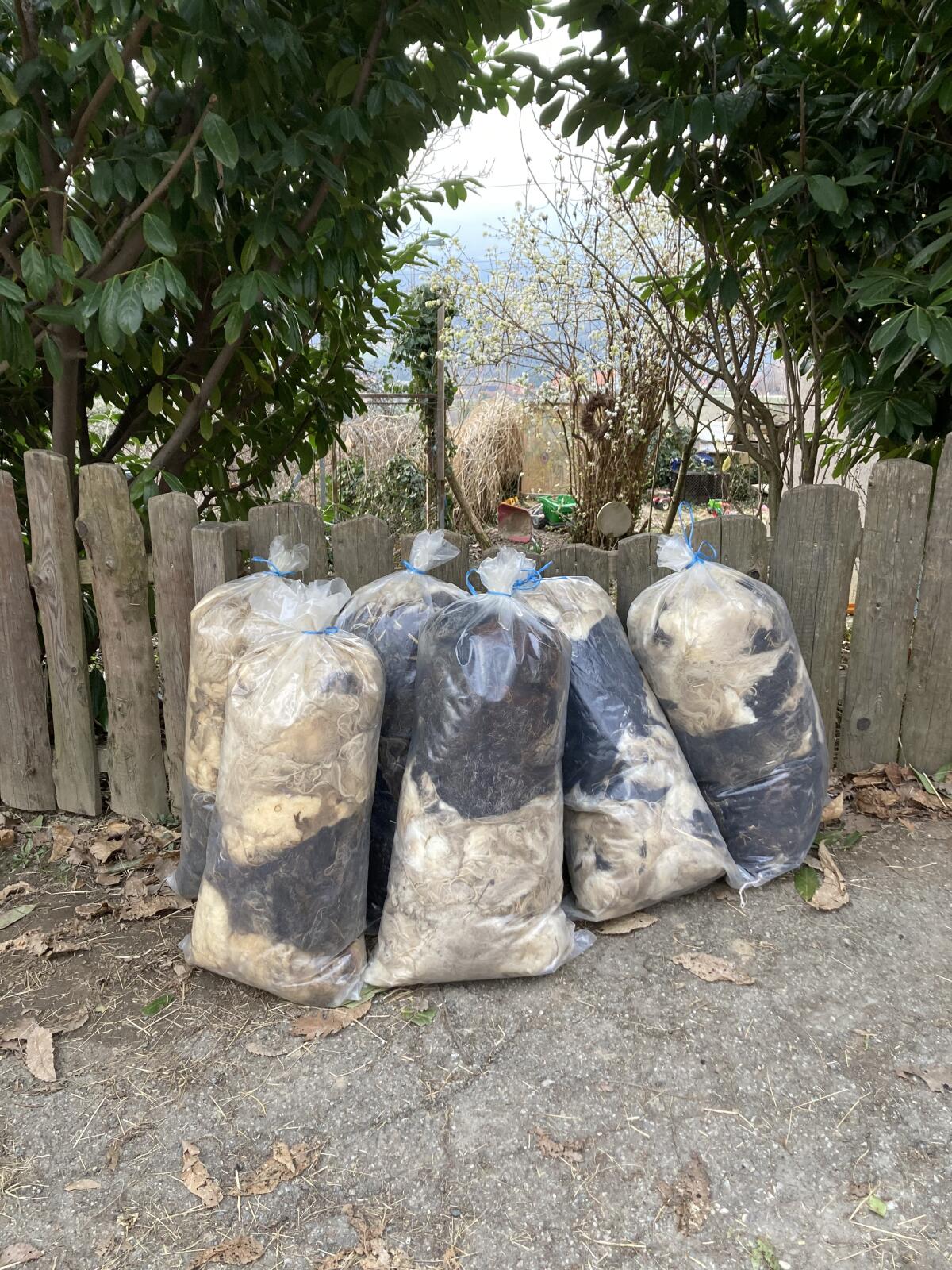 Schafwolle als Dünger 2