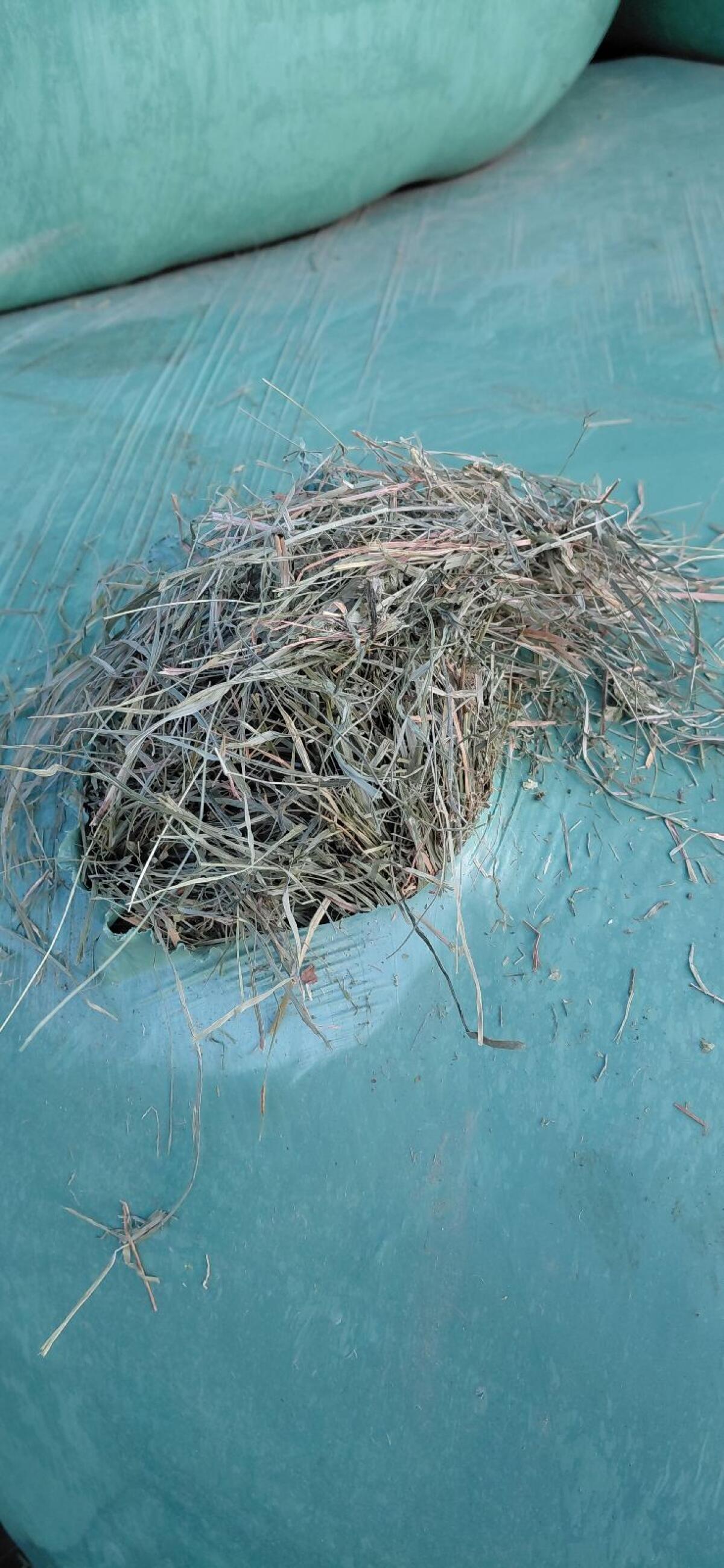 Silageballen 2