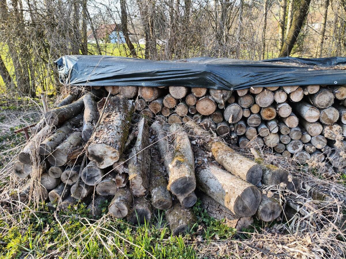 Brennholz Gemischt 2