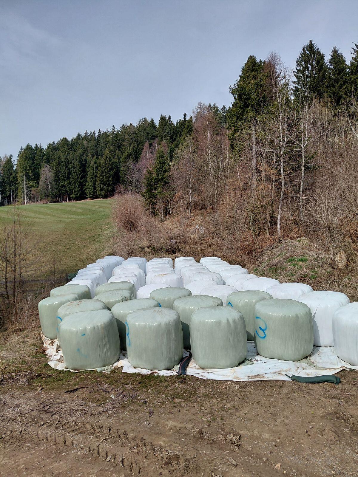 Siloballen 1. Schnitt 2025 2
