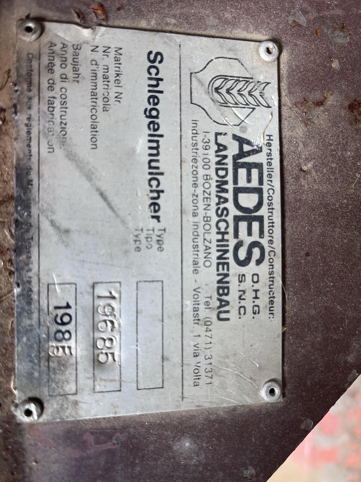 Aedes Schlegelmulcher 3