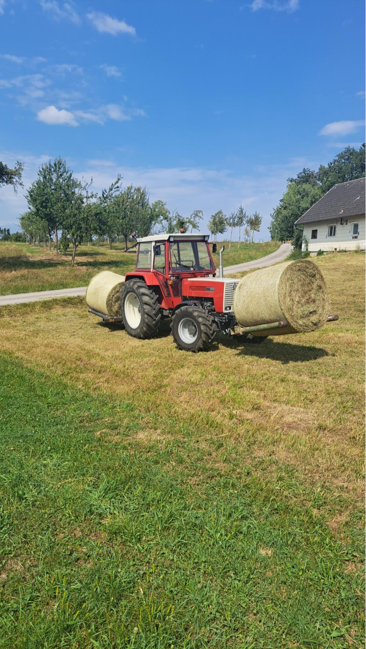Steyr 988 2
