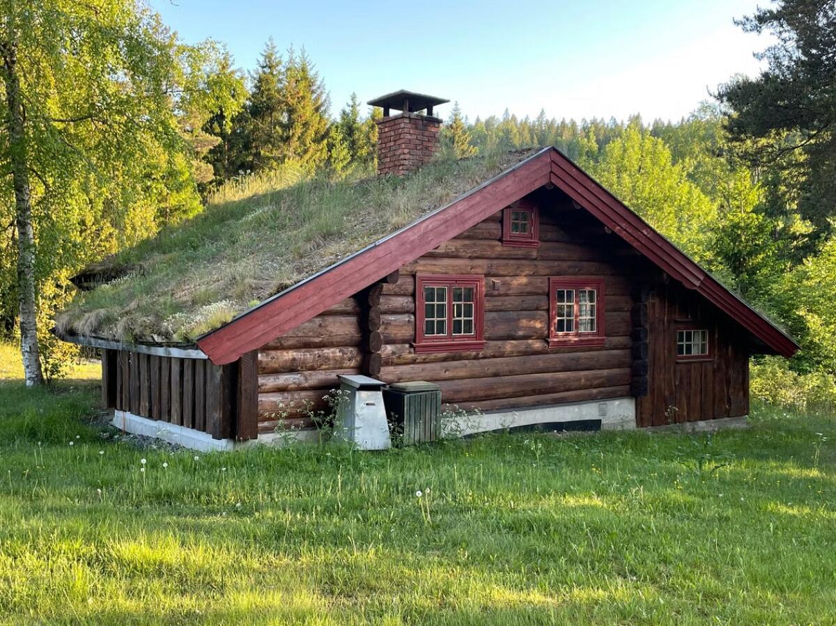 Traditionelle Blockhütte 3