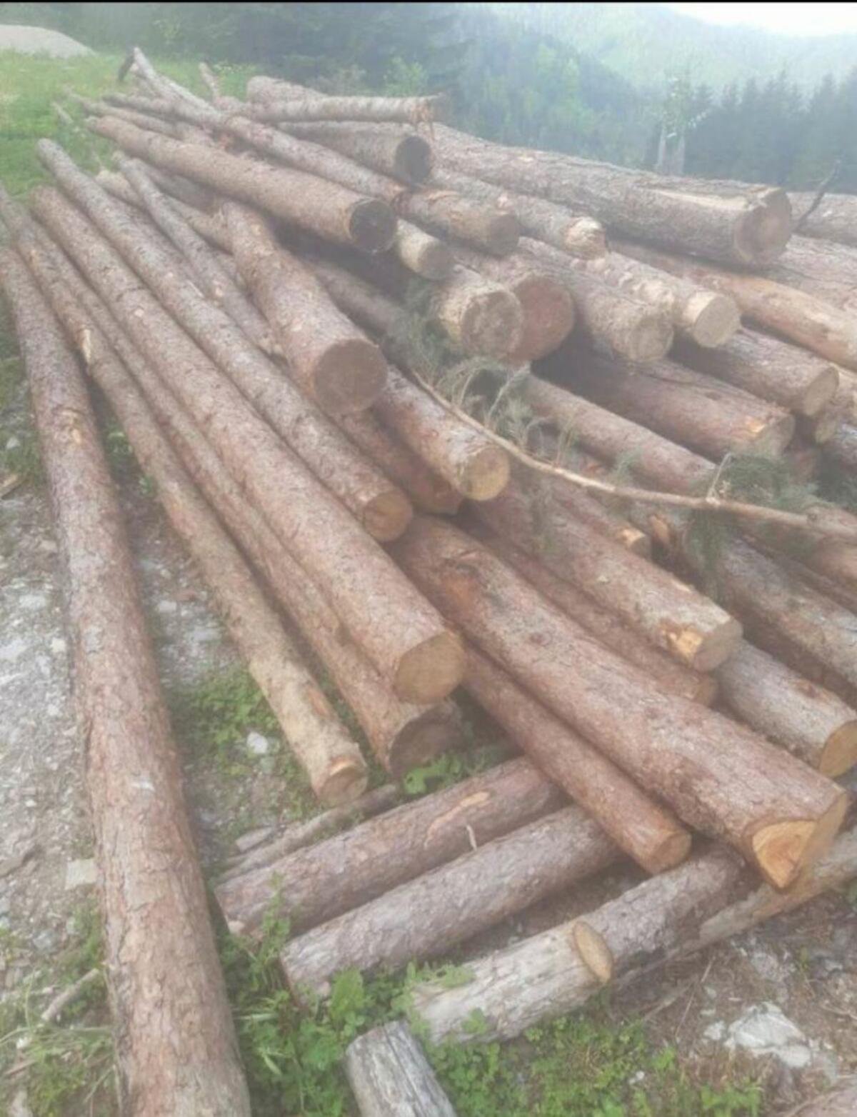 Lärchenstangen, Lärchenranteln 2