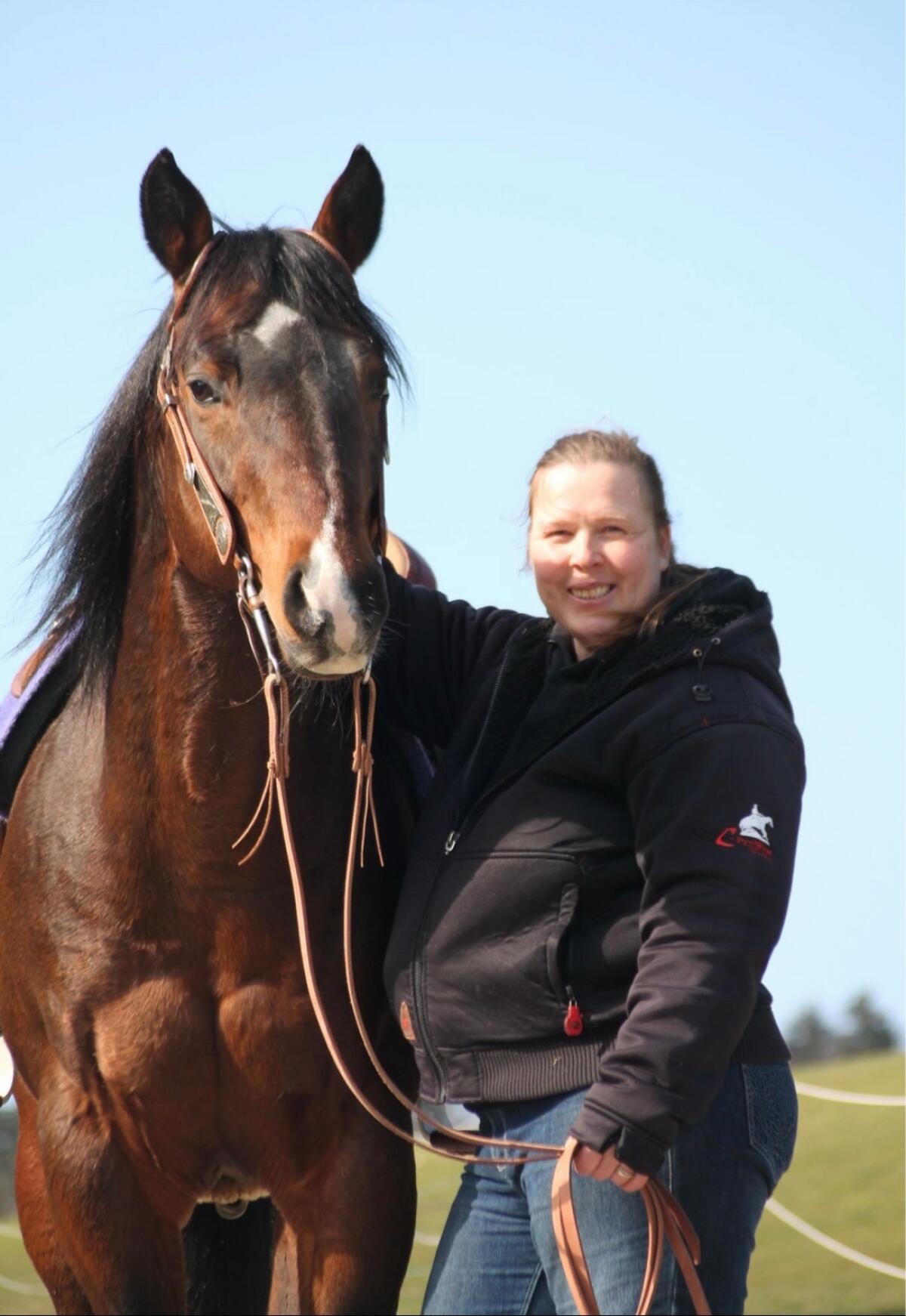 Quarter Horse Deckhengst 2