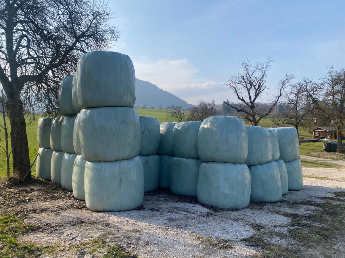 Bio-Silage-Ballen 2