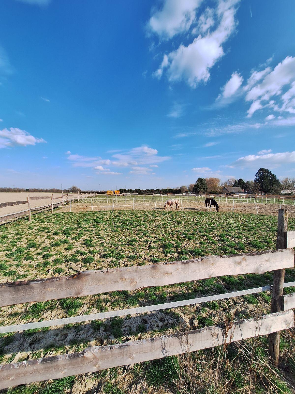 Einstellplätze Boxenhaltung 2