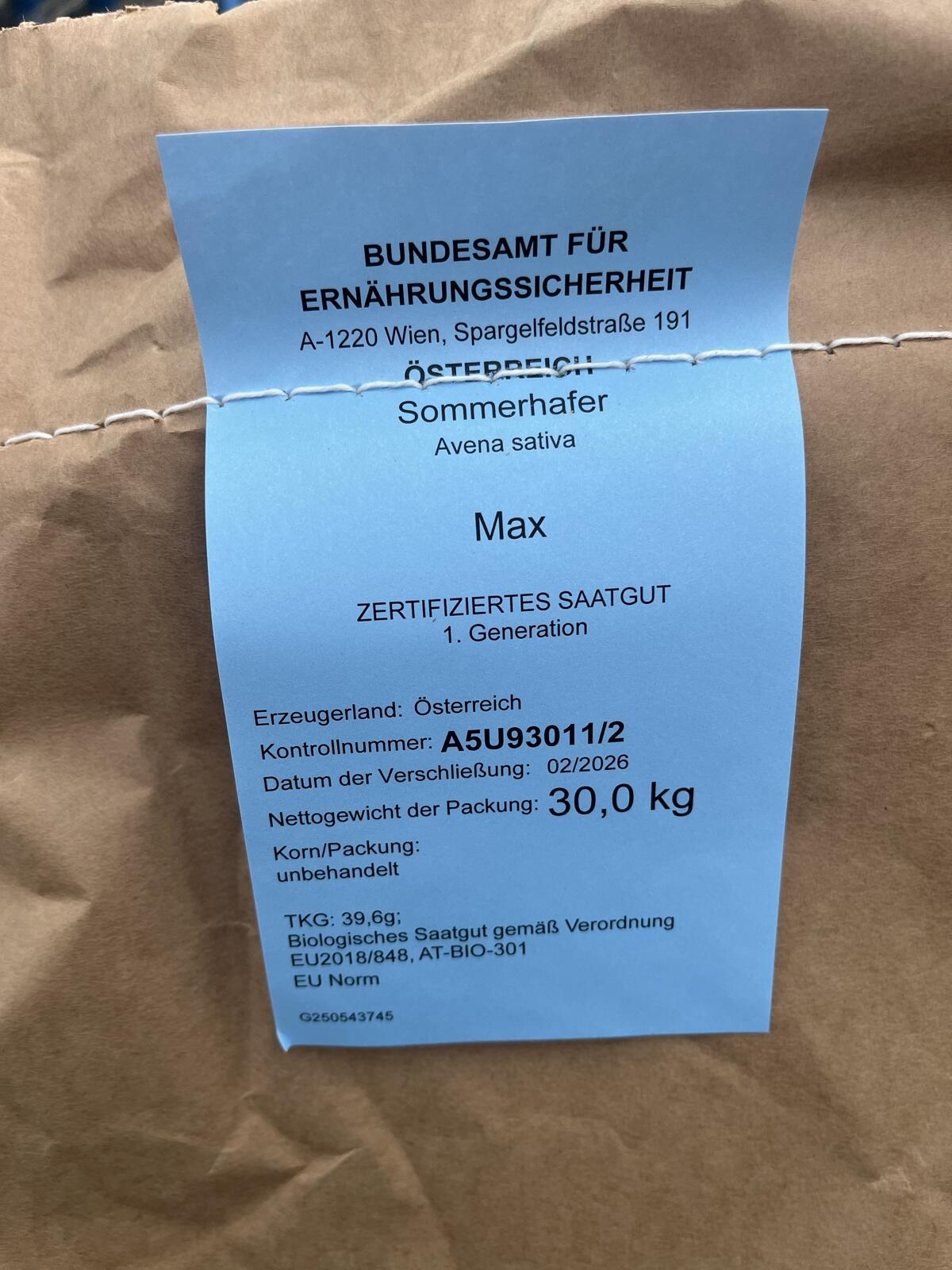 Hafer Saatgut 2