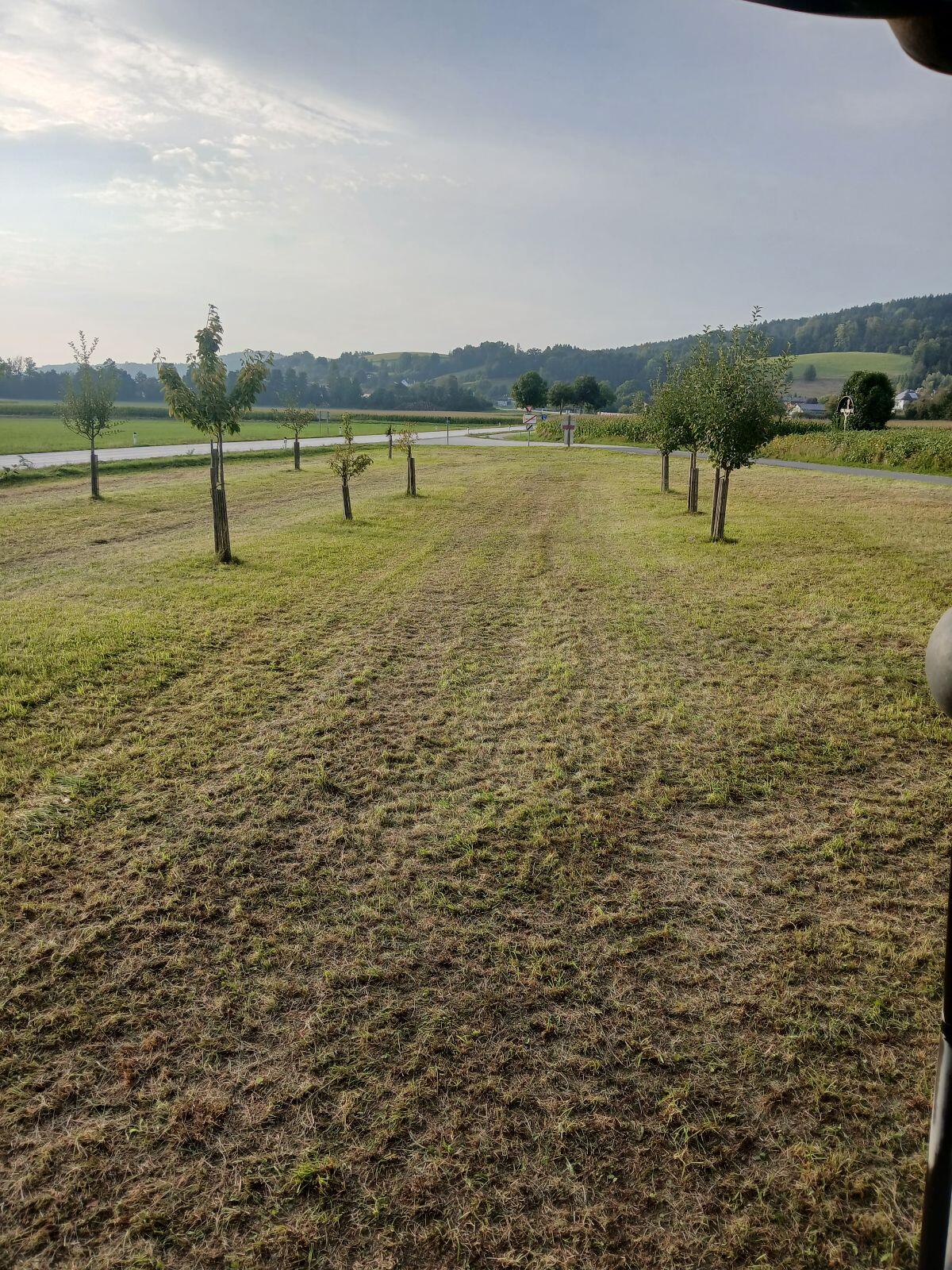 Heuballen, Silageballen, Mammut Siloballenschneider 3