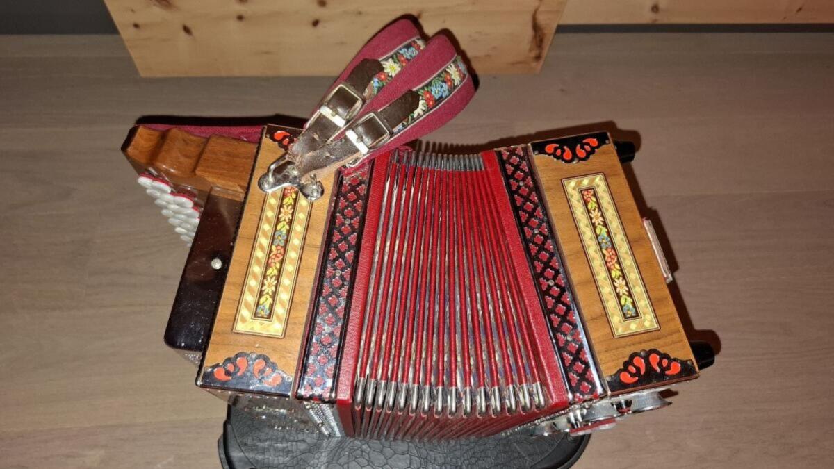 Steirische Harmonika 3-reihig 3