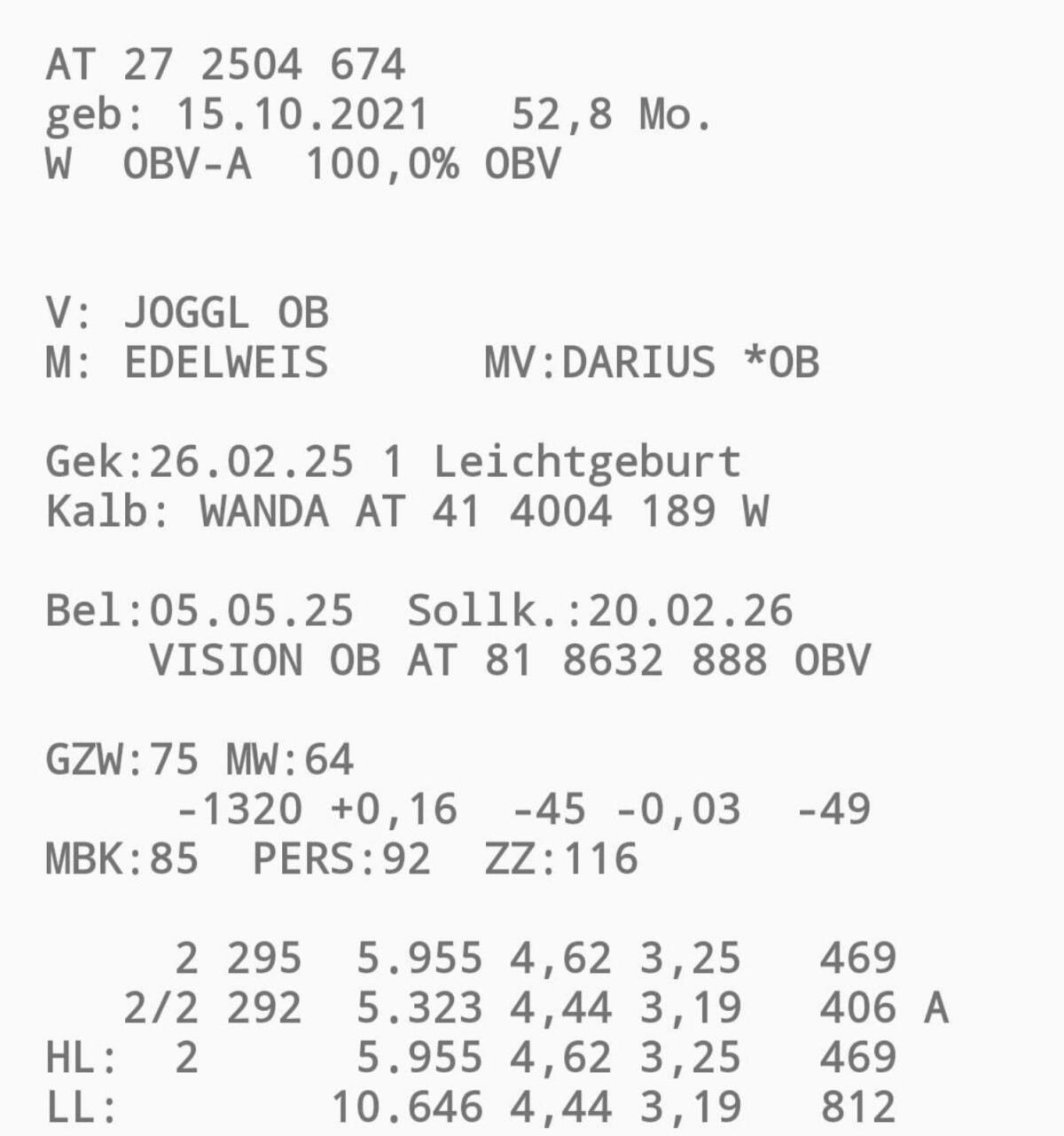 Original Braunviehkuh 3