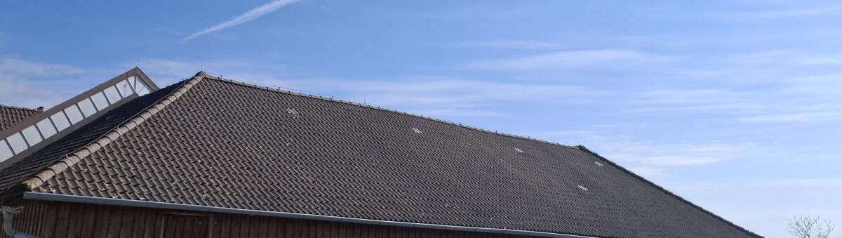 Dachziegel 2