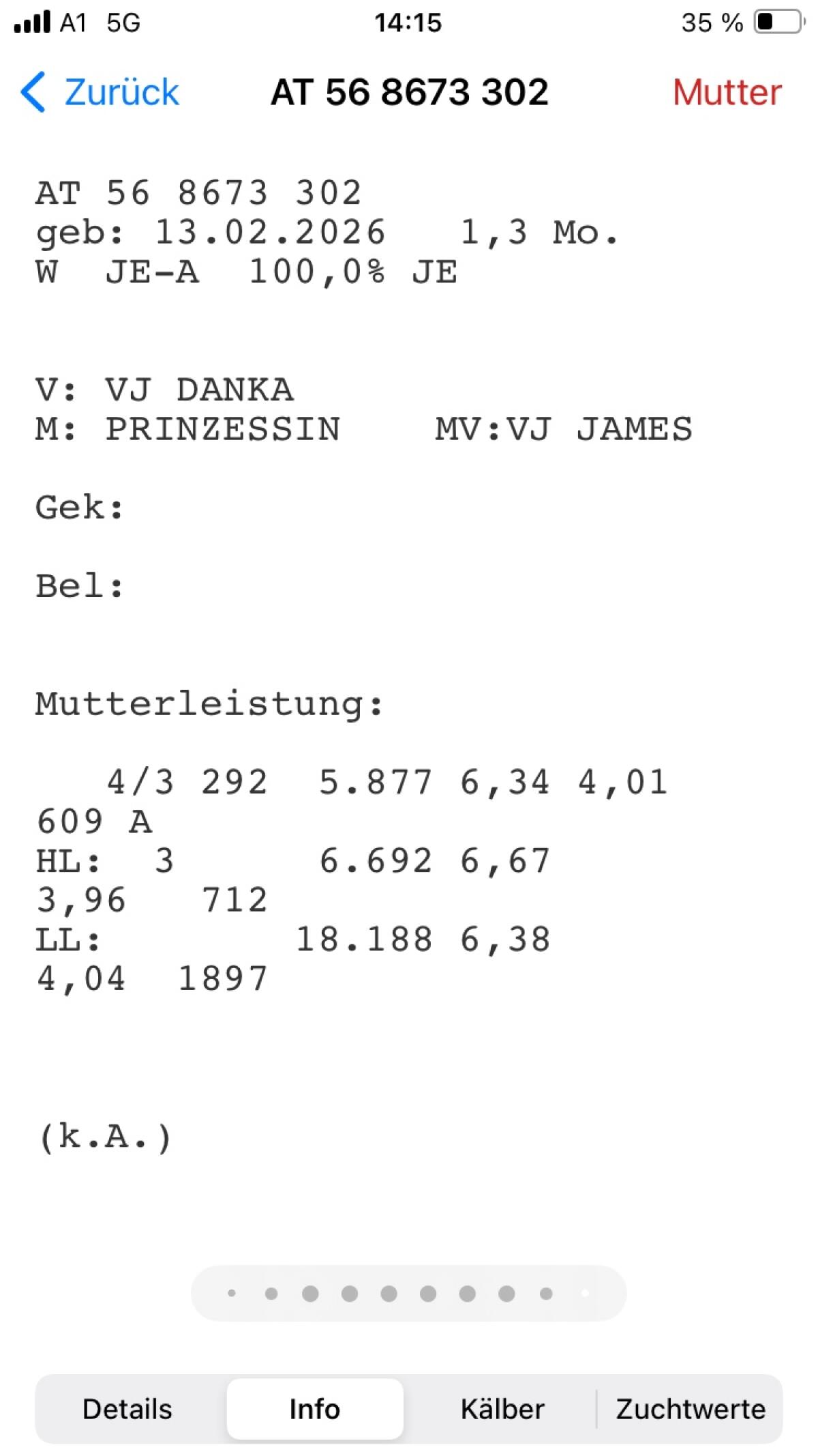 Jersey Kalb 2