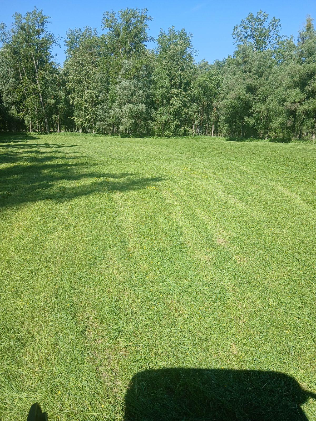 Heuballen, Silageballen, Mammut Siloballenschneider 2