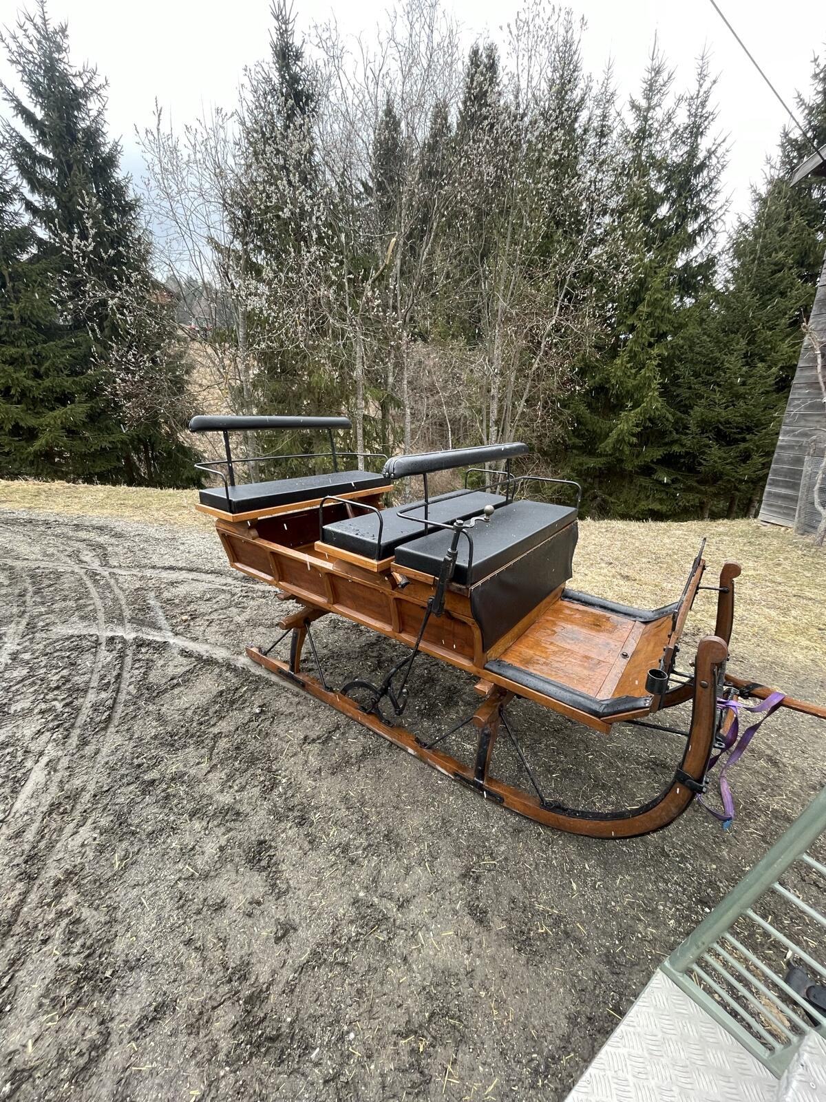 Pferdeschlitten 2