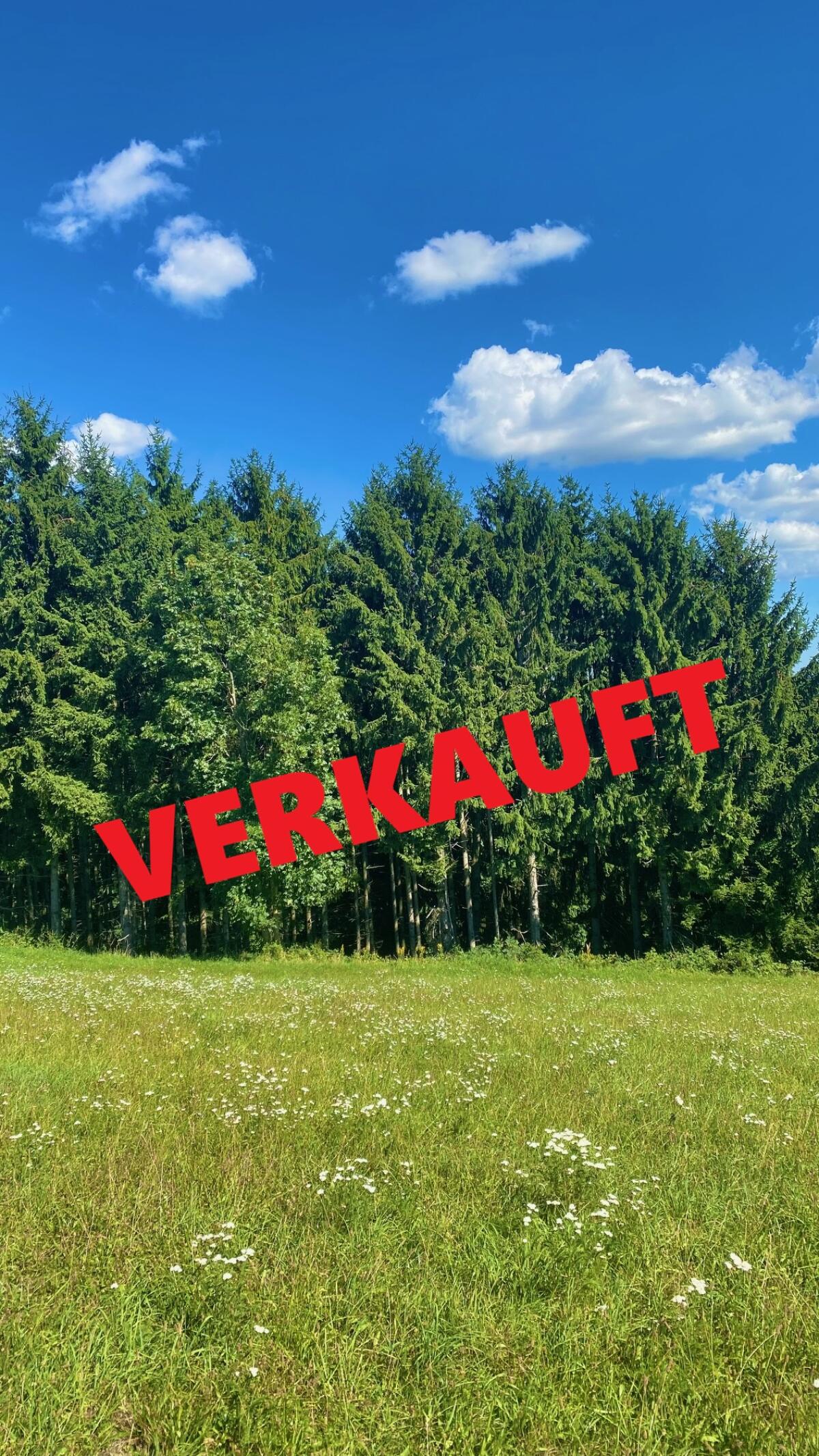 Waldgrundstück       VERKAUFT