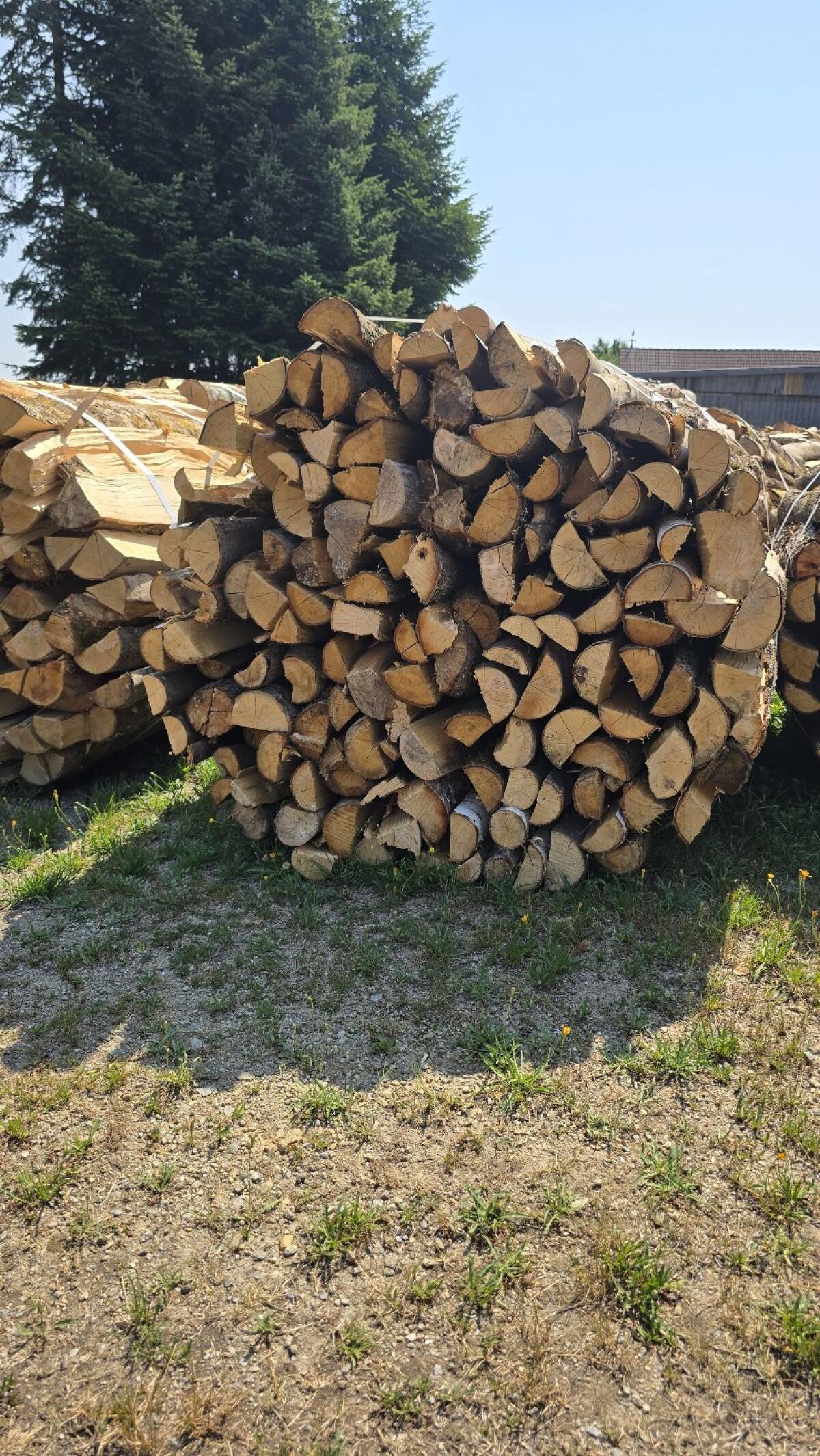 Brennholz
