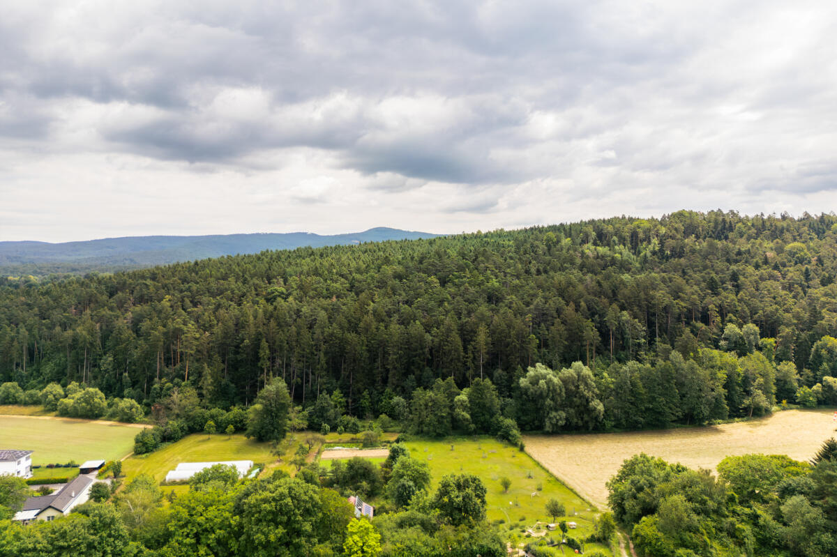 35 ha Forstbesitz zu verkaufen
