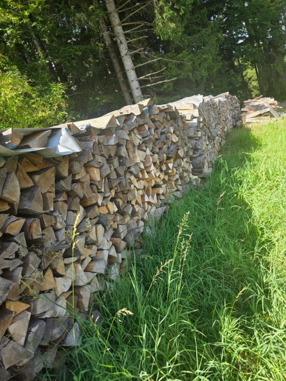 Brennholz Buche