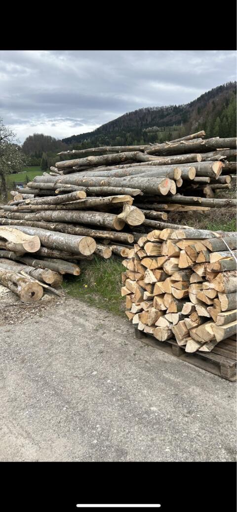 Faserholz, Brennholz, Buche, Esche, Ahorn