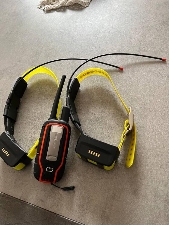 Garmin Alpha 100 TT15 (Zwei Halsbänder)