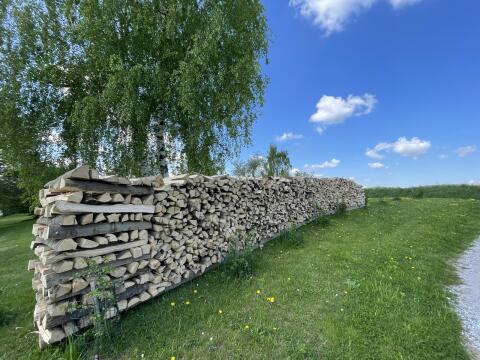 Brennholz Hart
