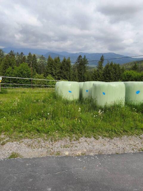Gärheu-Heulage zu verkaufen