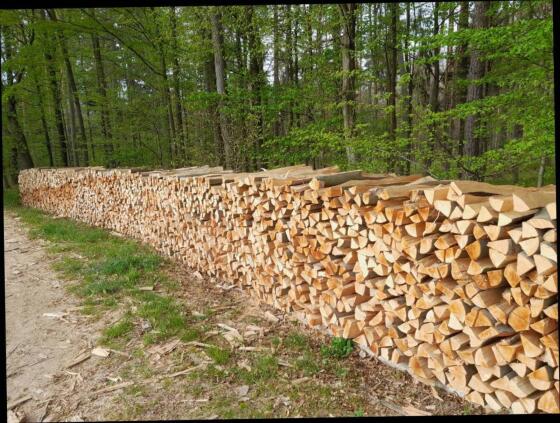 Brennholz