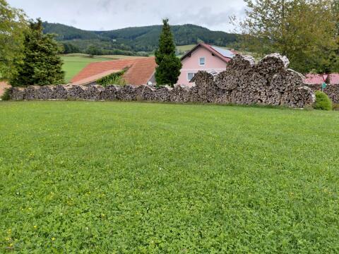 Brennholz Buche
