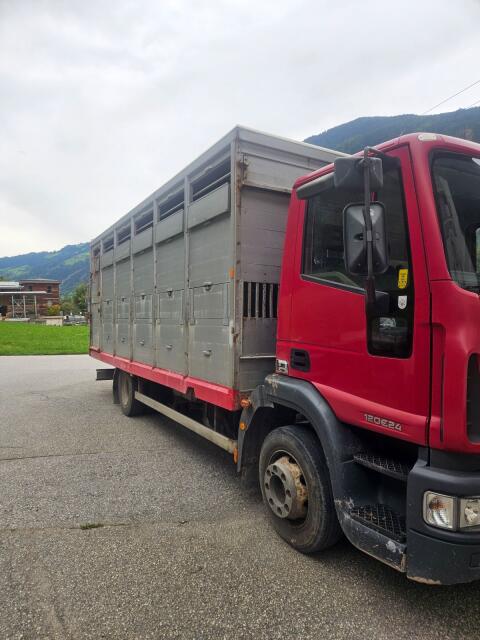 Viehtransporter Iveco 120E24