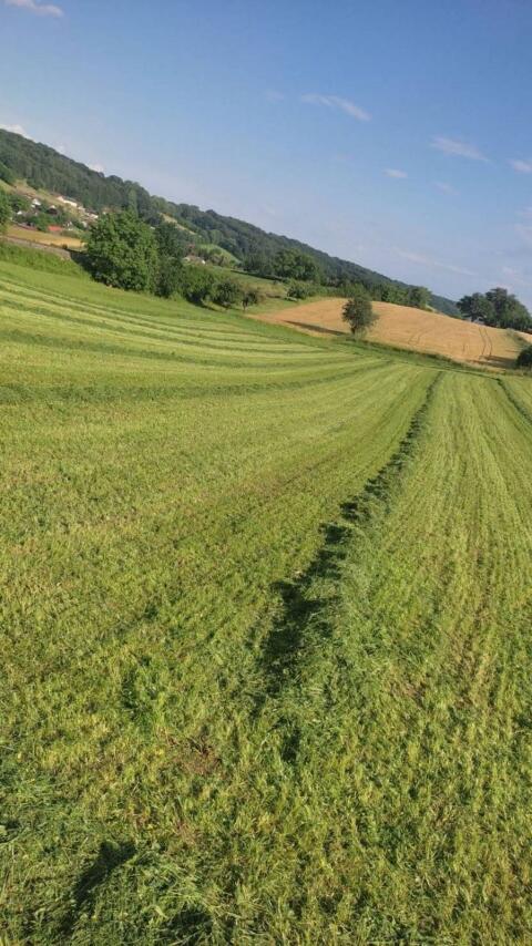 Suche Grünland und Ackerland zum Pachten