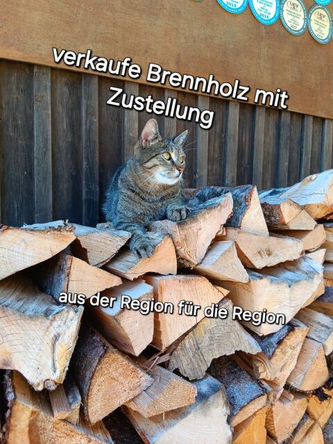 Brennholz