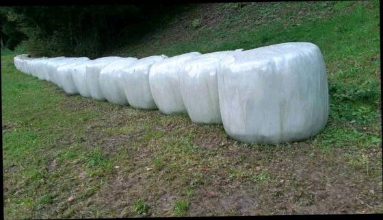 Silageballen