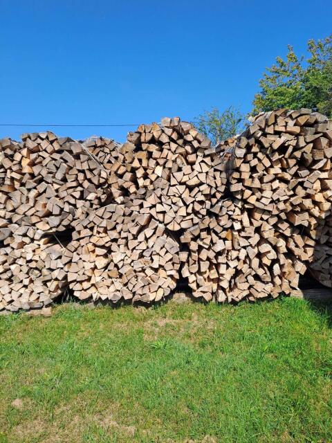Buchenholz