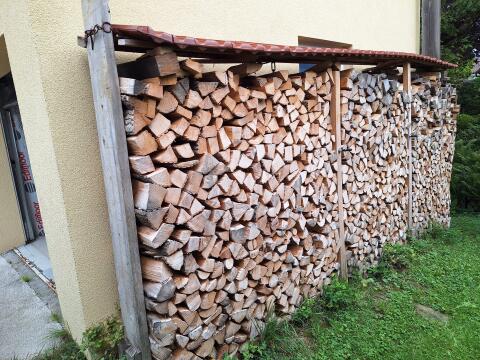 Brennholz Esche