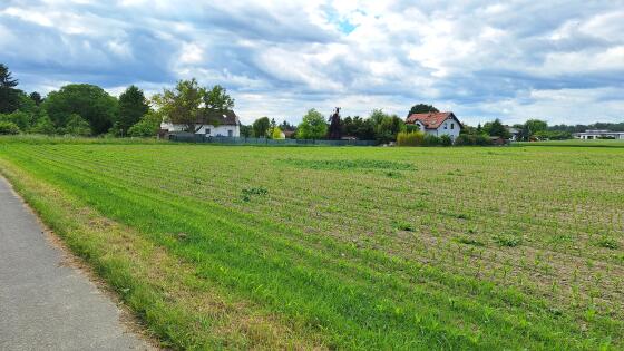 Acker mit Potenzial in der Gemeinde Zwentendorf