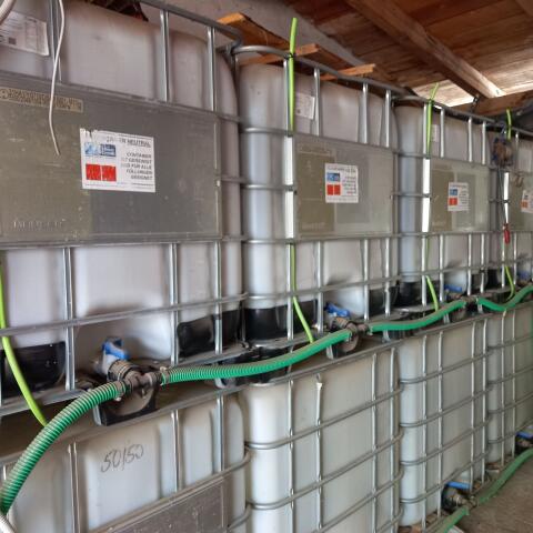 IBC Container Wassertank