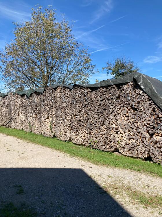 Brennholz
