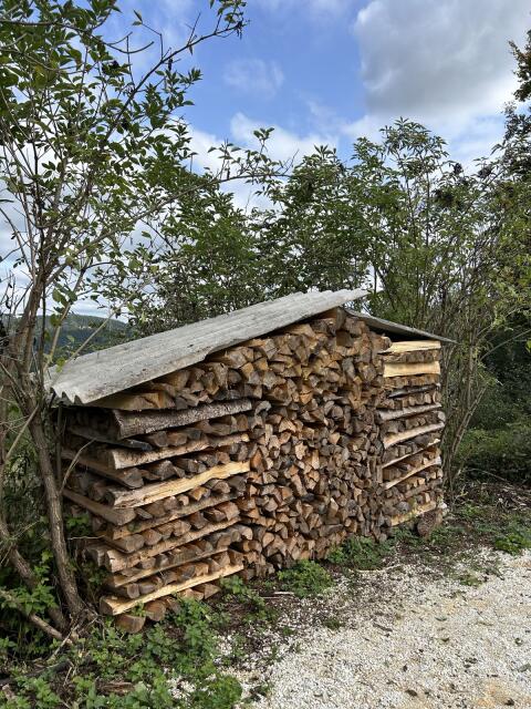 Trockenes Brennholz Fichte