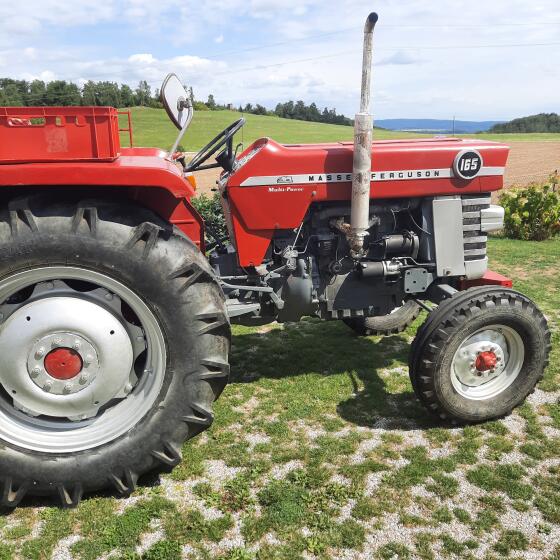 MF 165