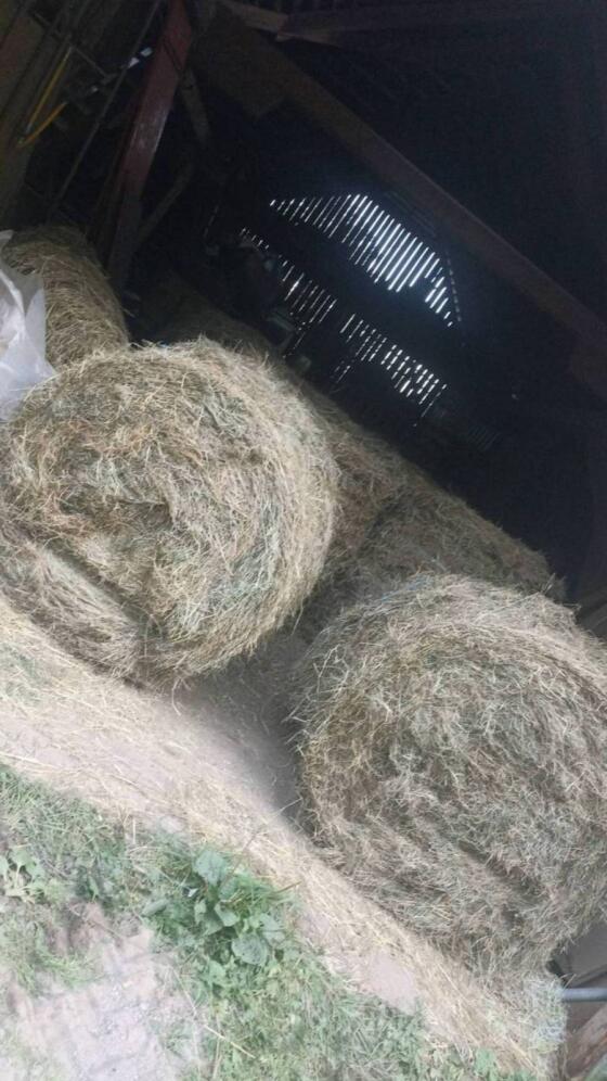 Grummet-Ballen zu verkaufen