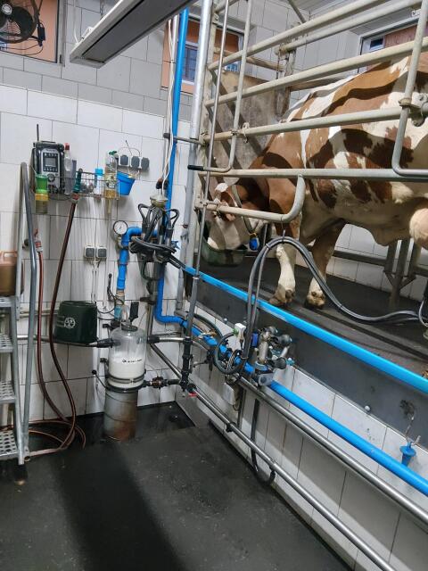 2x2 Tandem-Melkstand De-Laval in doppelter Ausführung