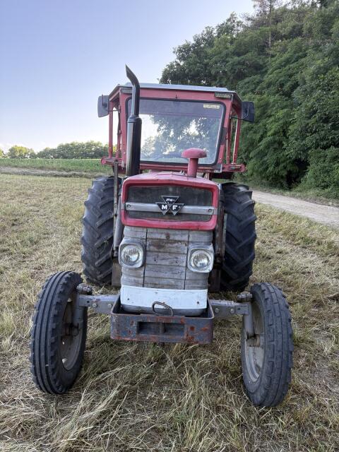 Massey Ferguson 165 mit Hauer Frontlader