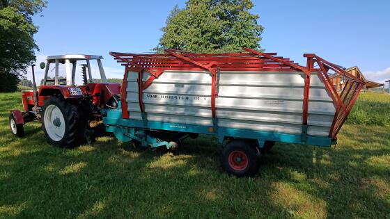 Steyr Hamster 802 V, schöner Originalzustand