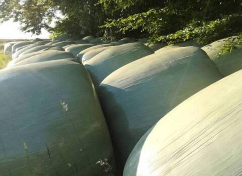 Silageballen