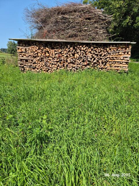 Eschenbrennholz